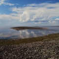 Aberdeen-Lake.-Wildlife-Monitoring-Surveys-Turqavik-Aberdeen-Kivalliq