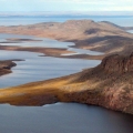 Near-Hope-Bay-Kitikmeot.-Wildlife-Baseline-Surveys