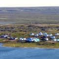 Sabinas-Hackett-River-Camp.-Wildlife-Baseline-Surveys (Custom)