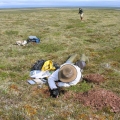 Soil-and-Vegetation-Sampling-Kivalliq (Custom)