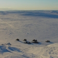 A-Winter-Morning-North-of-Meadowbank-Camp