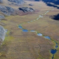 Beaded-creek-Kitikmeot.-Wildlife-Baseline-Surveys