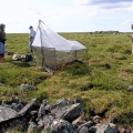 Soil-Vegetation-and-Insects-Sampling-Kivalliq (Custom)